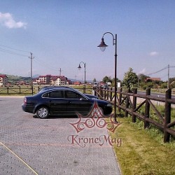 Stâlp Iluminat Parc Metalic cu Ornamente Fontă UNIO-M1302-1C