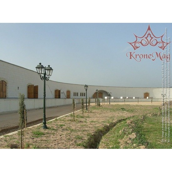 Stâlp Iluminat Parc,Stradal Fontă 1K-C2