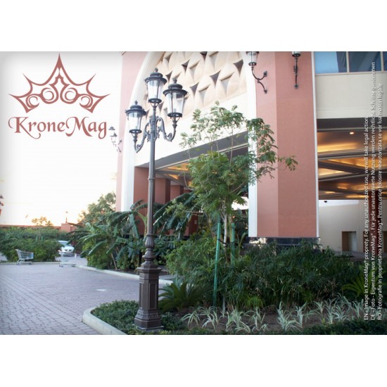 Stâlp Iluminat Ornamental Parc D1-S21