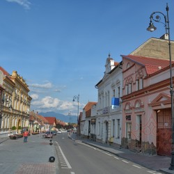 Stâlpi de Iluminat Stradal Metalici cu Fontă C1-L1 Long Stâlpi de Iluminat Stradal Metalici cu Fontă C1-L1 Long