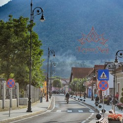 Stâlpi de Iluminat Stradal Metalici cu Fontă C1-L1 Long