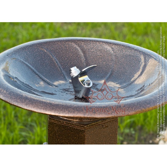 Robinet cu Push pentru Cișmele Stradale